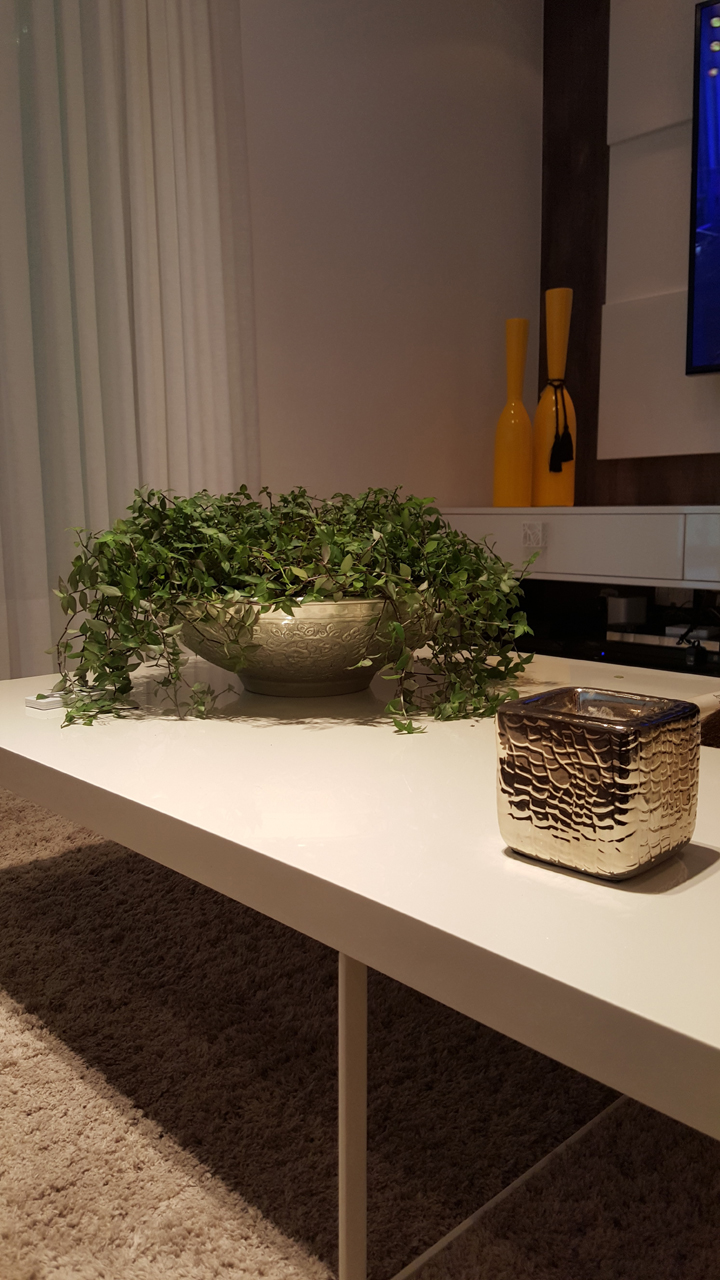 Foto. Celina Germer_174559
