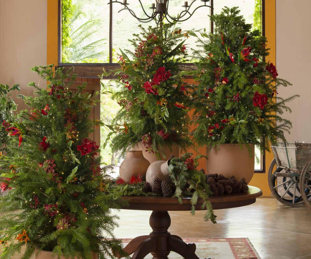 Árvore de natal em um vaso para plantas