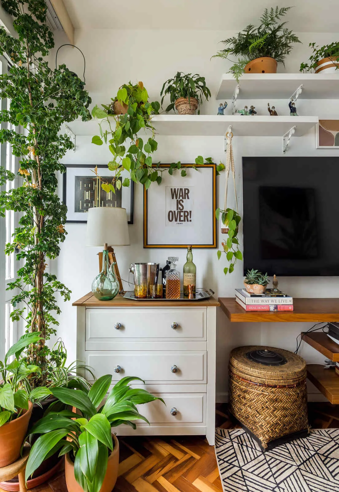 Plantas de interior